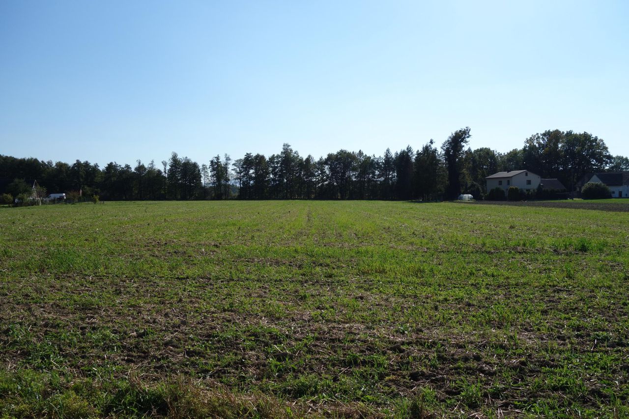 Działka siedliskowa Skoczów. Zdjęcie 3