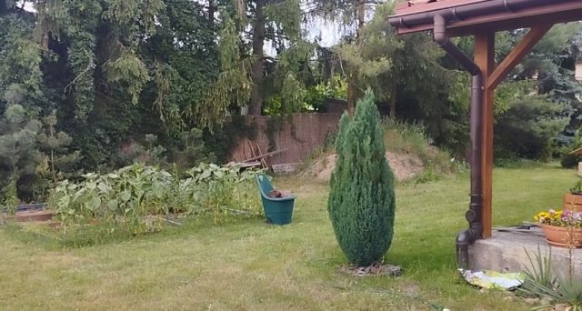 dom wolnostojący, 4 pokoje Żelechów. Zdjęcie 10