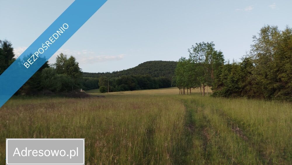 Działka Wysowa-Zdrój. Zdjęcie 13
