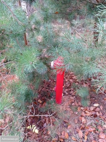 Działka budowlana Karczewko, ul. Bukowa. Zdjęcie 1