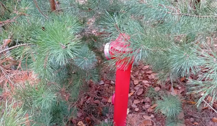 Działka budowlana Karczewko, ul. Bukowa