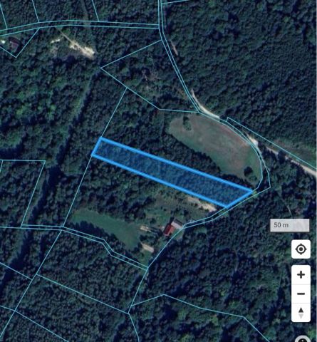 Działka leśna Wyręby. Zdjęcie 1