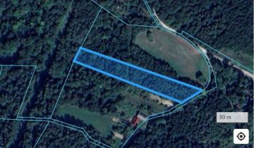 Działka leśna Wyręby, Wyręby