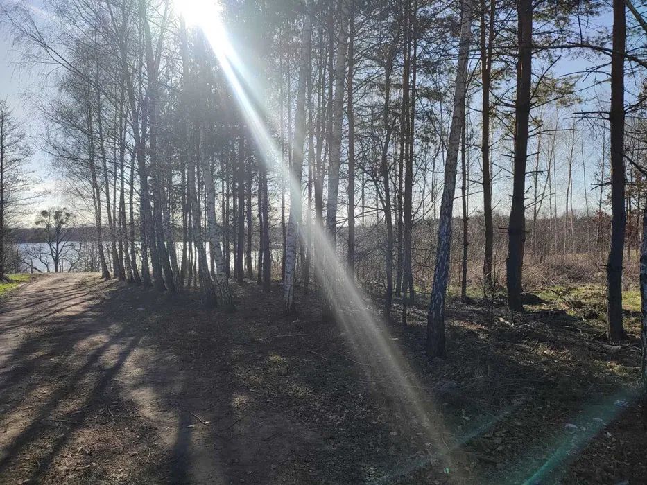 Działka budowlana Skarpa. Zdjęcie 6