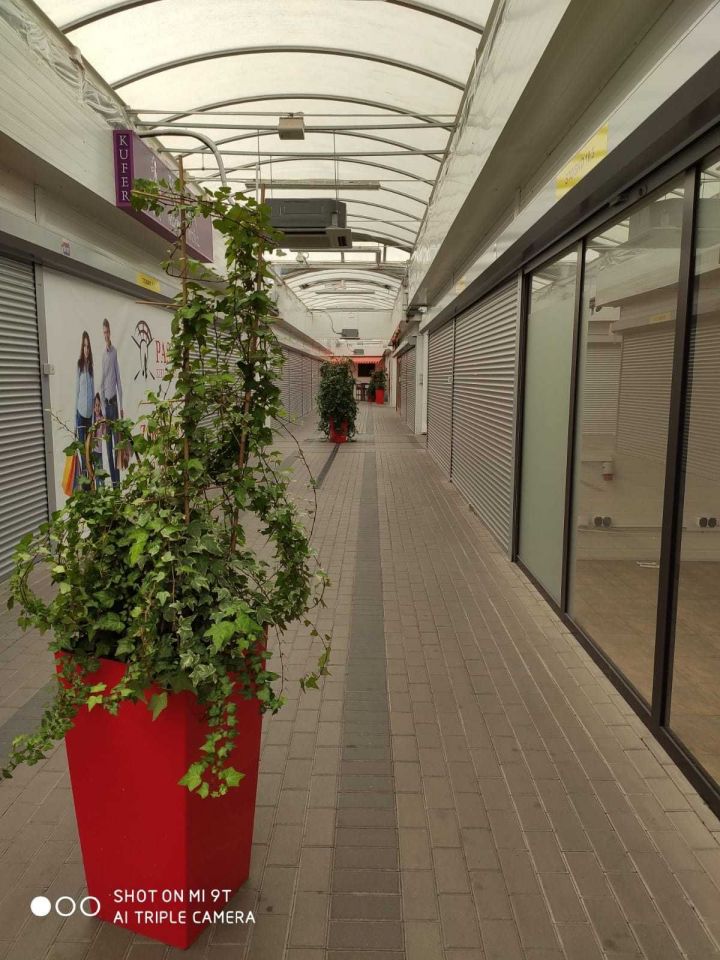 Lokal Wrocław, ul. Swobodna