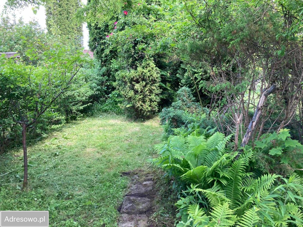 Działka rod Wołomin, ul. Zielona. Zdjęcie 2