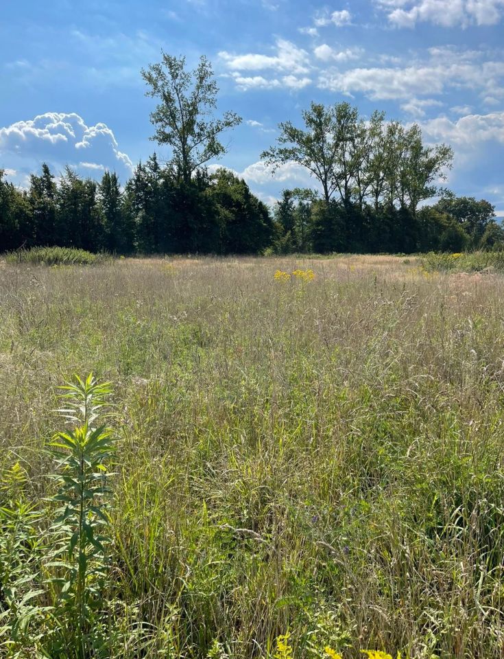 Działka budowlana Mroczkowice. Zdjęcie 3