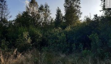 Działka rekreacyjna Andrzejówka