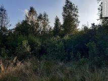 Działka rekreacyjna Andrzejówka. Zdjęcie 1