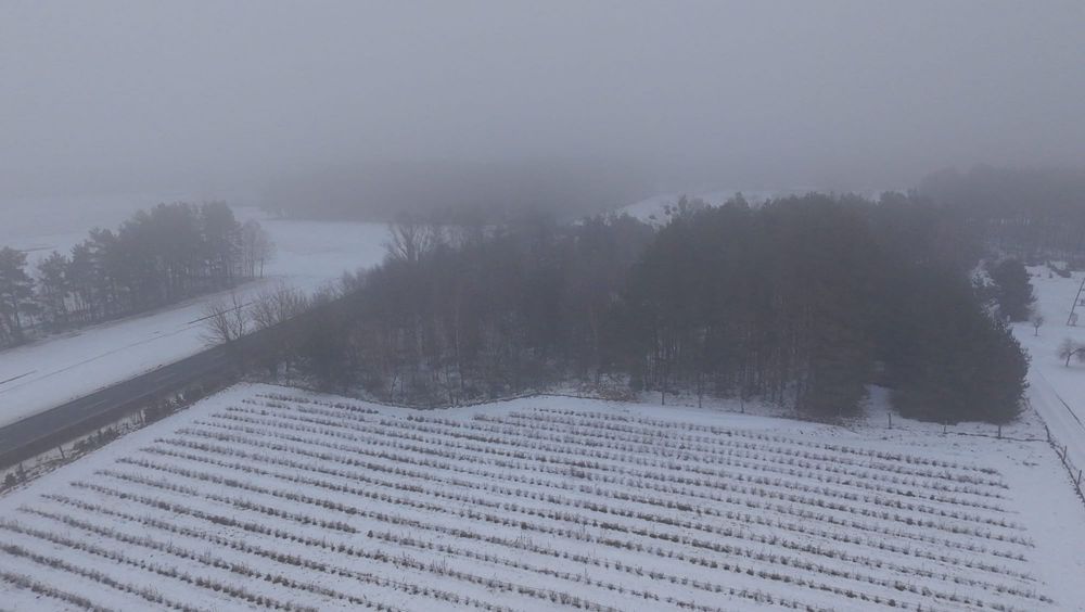 Działka Lubiewice. Zdjęcie 7