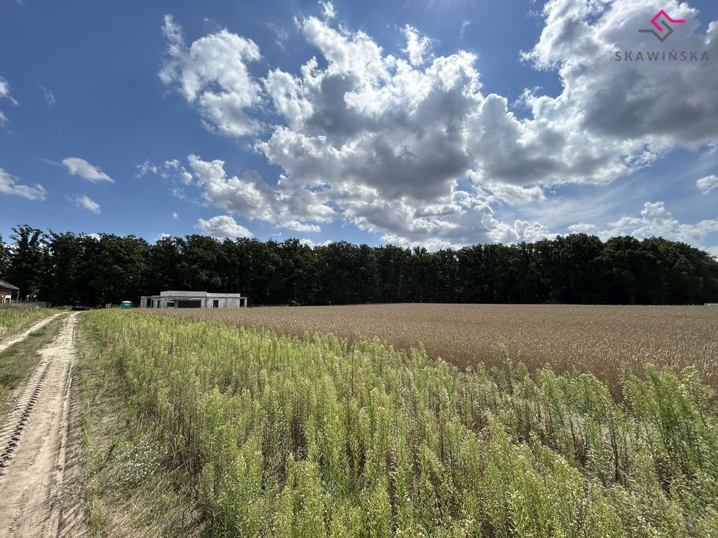 Działka budowlana Lewkowiec. Zdjęcie 7