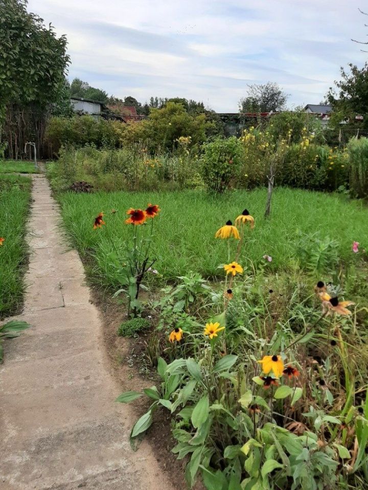 Działka rod Koszalin. Zdjęcie 4