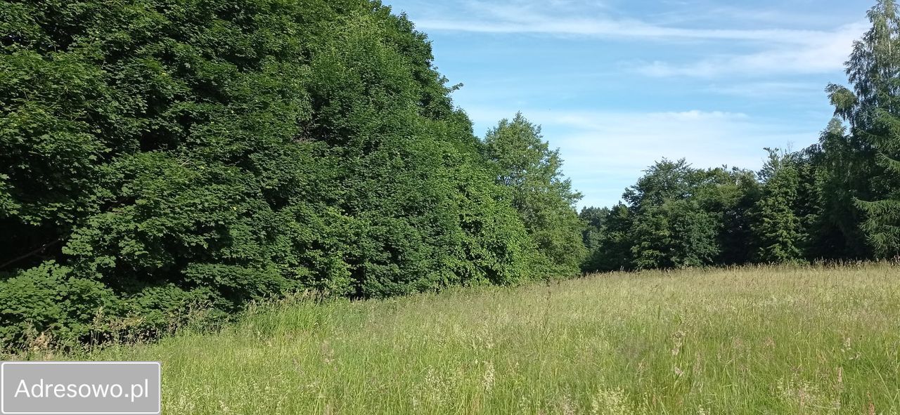 Działka budowlana Cetuń. Zdjęcie 4