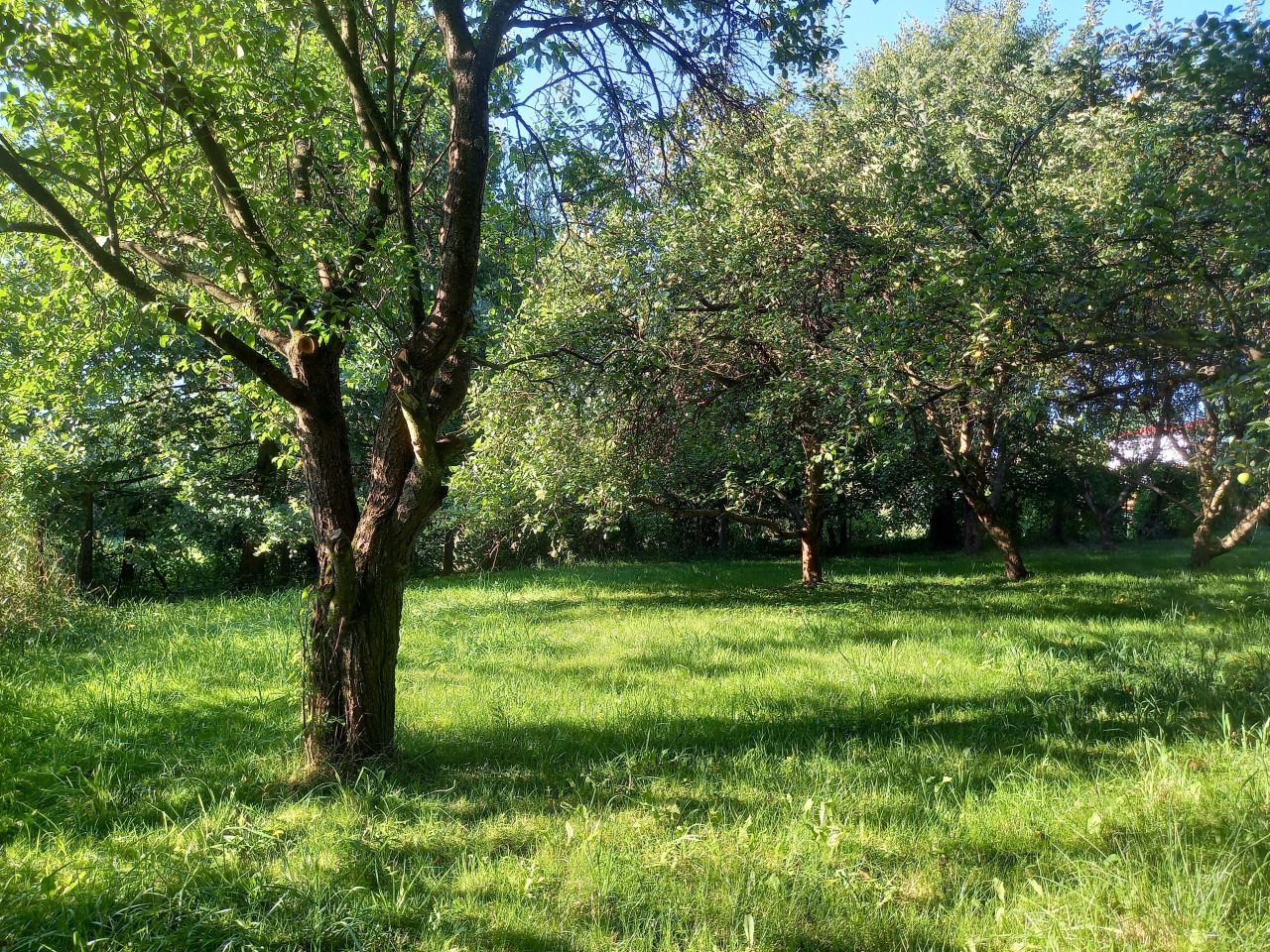 dom wolnostojący, 10 pokoi Cieszyn Gułdowy, ul. Gospodarska. Zdjęcie 22