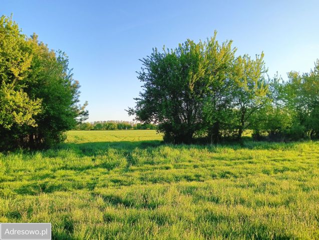 Działka budowlana Cykowo. Zdjęcie 1