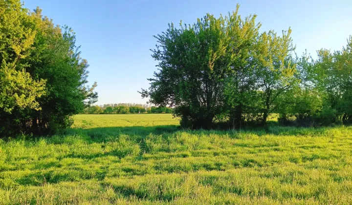 Działka budowlana Cykowo