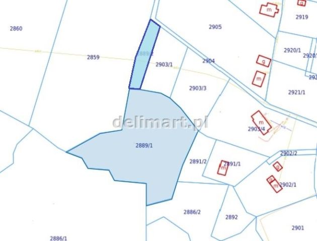 Działka leśna Górki. Zdjęcie 3