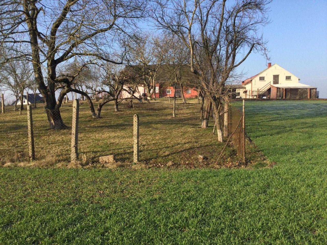 gospodarstwo Morzeszczyn. Zdjęcie 5