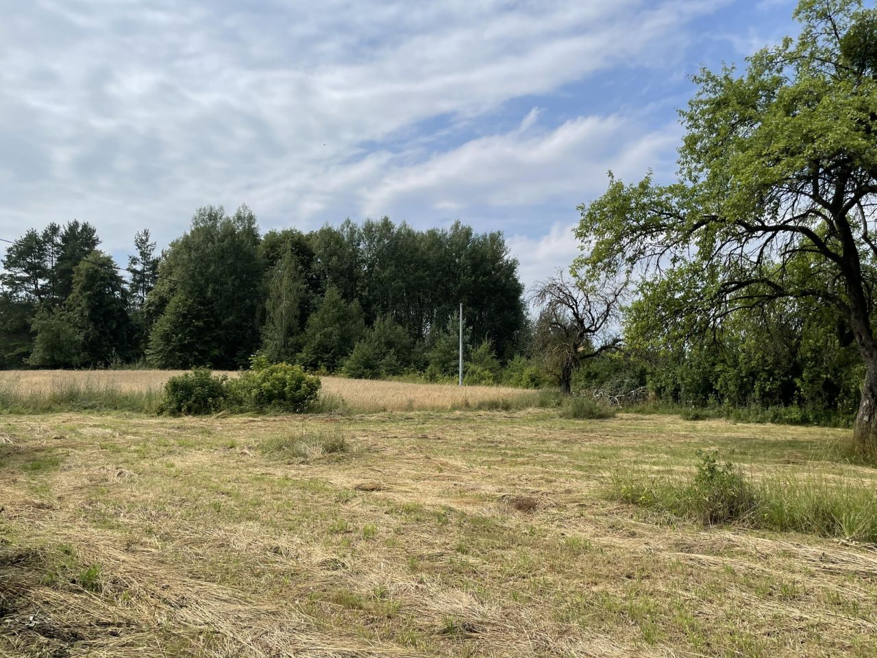 Działka rolno-budowlana Kopczany. Zdjęcie 3