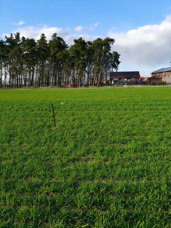 Działka budowlana Poladowo. Zdjęcie 4