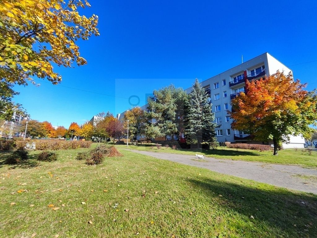 Mieszkanie 2-pokojowe Częstochowa Północ. Zdjęcie 10