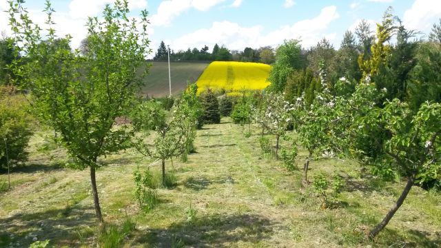 Działka siedliskowa Batycze. Zdjęcie 7