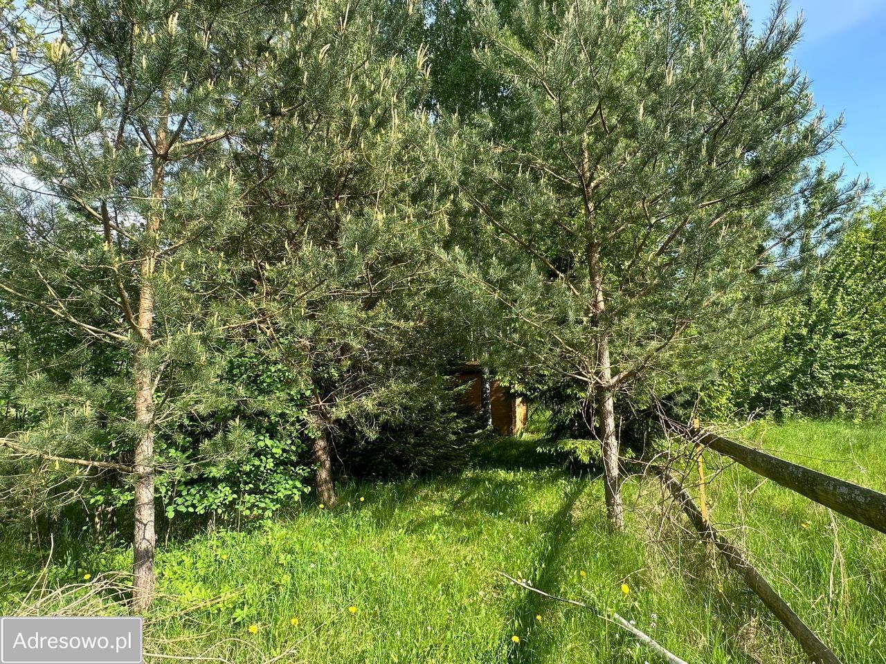 Działka rolna Dubiny. Zdjęcie 6