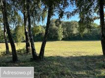 Działka budowlana Jedwabno. Zdjęcie 4