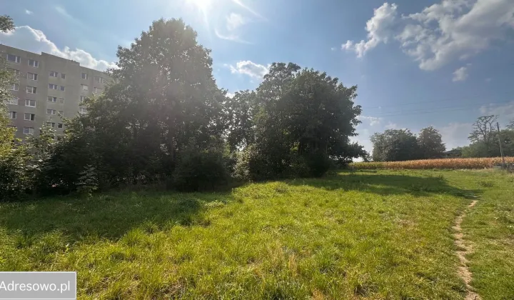 Działka inwestycyjna Piastów, ul. Hetmana Stefana Żółkiewskiego