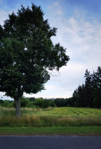 Działka inwestycyjna Piotrowice, ul. Główna. Zdjęcie 5