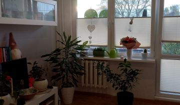 Mieszkanie 2-pokojowe Świnoujście Centrum, ul. Jana Matejki