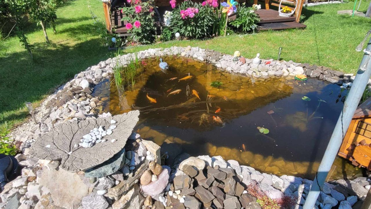 Działka rod Sosnowiec Ostrowy Górnicze, ul. Bobrek. Zdjęcie 11