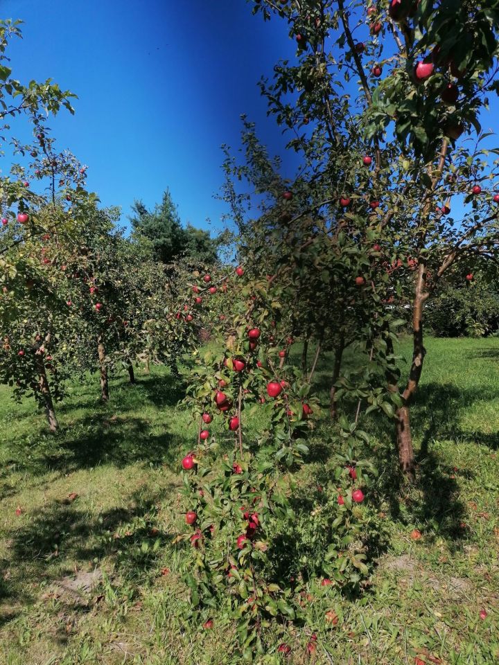 Działka inwestycyjna Gdańsk Osowa. Zdjęcie 6