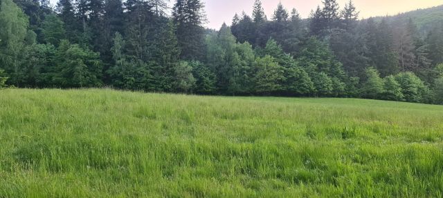Działka budowlana Wambierzyce. Zdjęcie 8