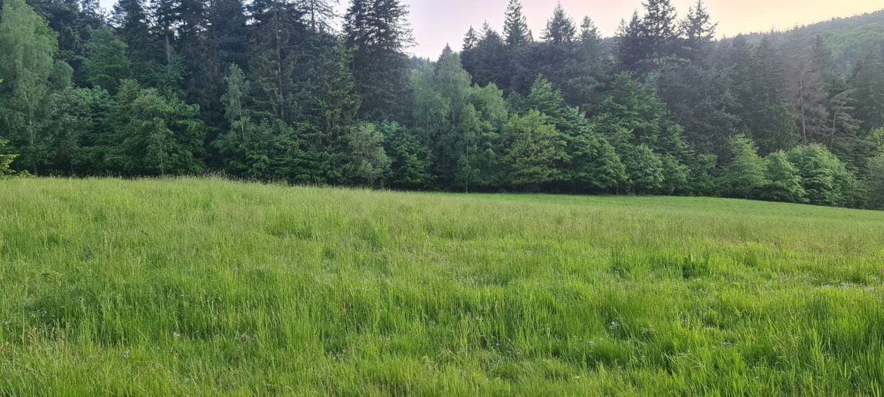 Działka budowlana Wambierzyce. Zdjęcie 8