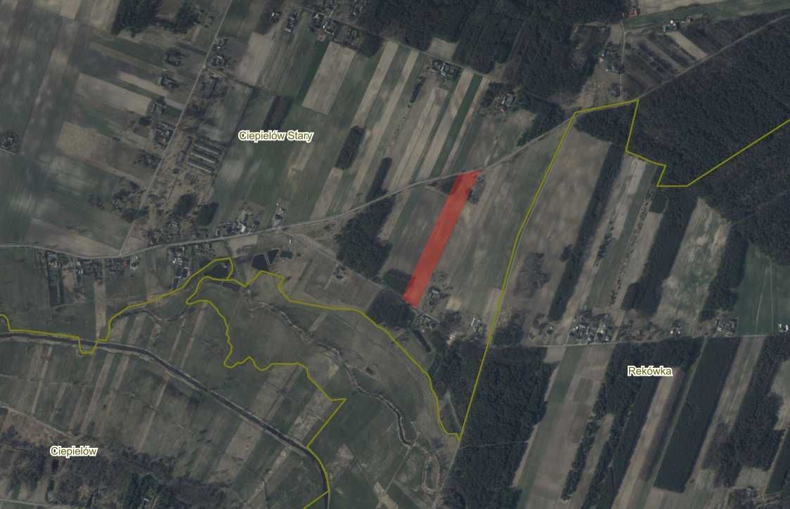 Działka rolna Stary Ciepielów. Zdjęcie 6