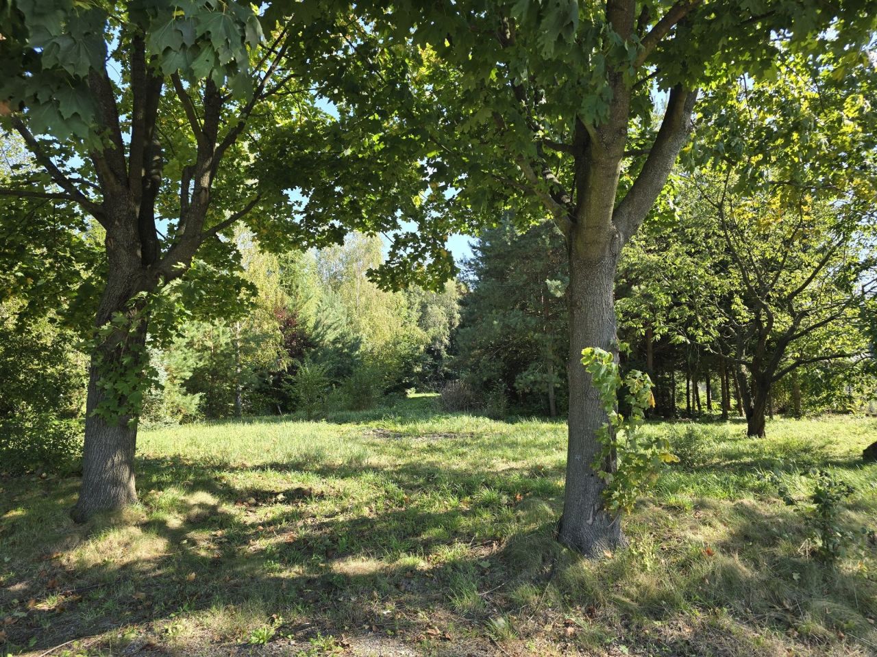 Działka rolno-budowlana Stary Zamość. Zdjęcie 4