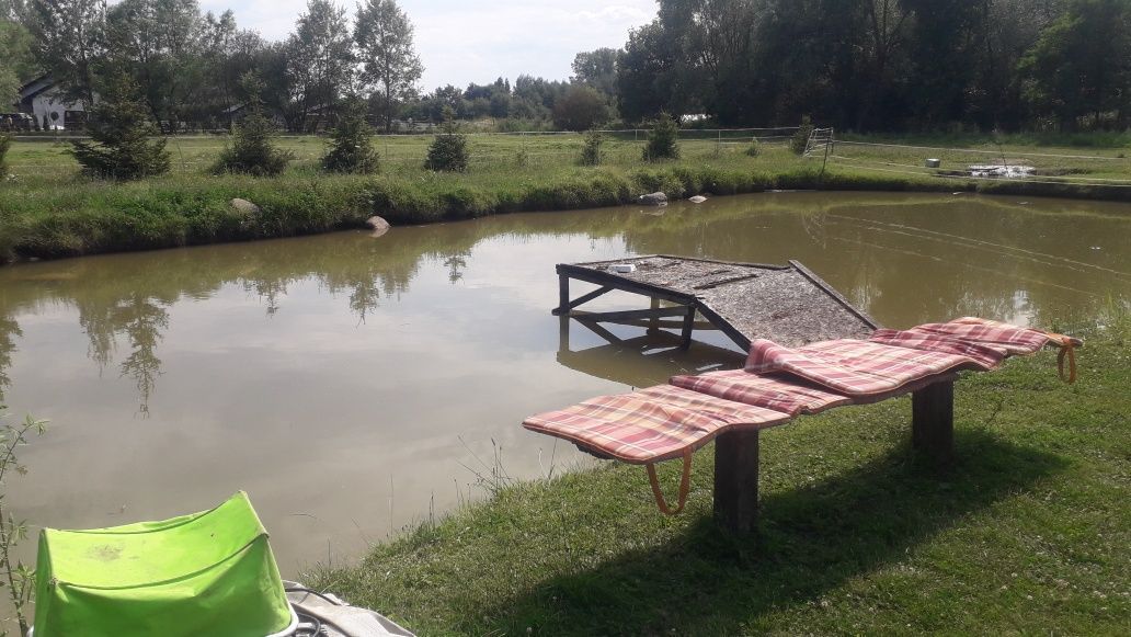 gospodarstwo Dębiec. Zdjęcie 5