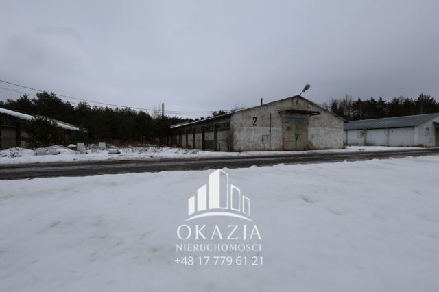 Hala/magazyn Wysoka Głogowska. Zdjęcie 2