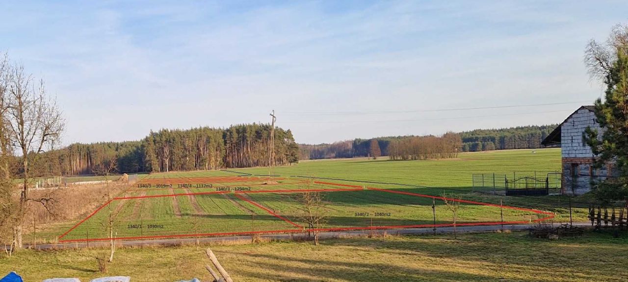 Działka rolno-budowlana Bojadła. Zdjęcie 6