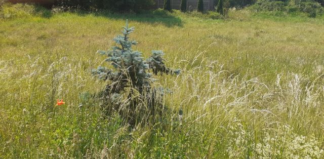 Działka budowlana Grudziądz, ul. Ignacego Paderewskiego. Zdjęcie 2