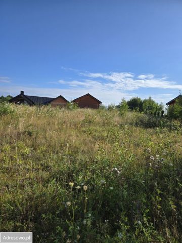 Działka budowlana Skrzeszewo. Zdjęcie 1