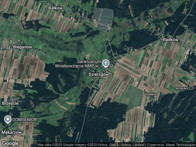 Działka leśna Dzierzgów. Zdjęcie 1