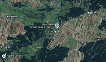 Działka leśna Dzierzgów