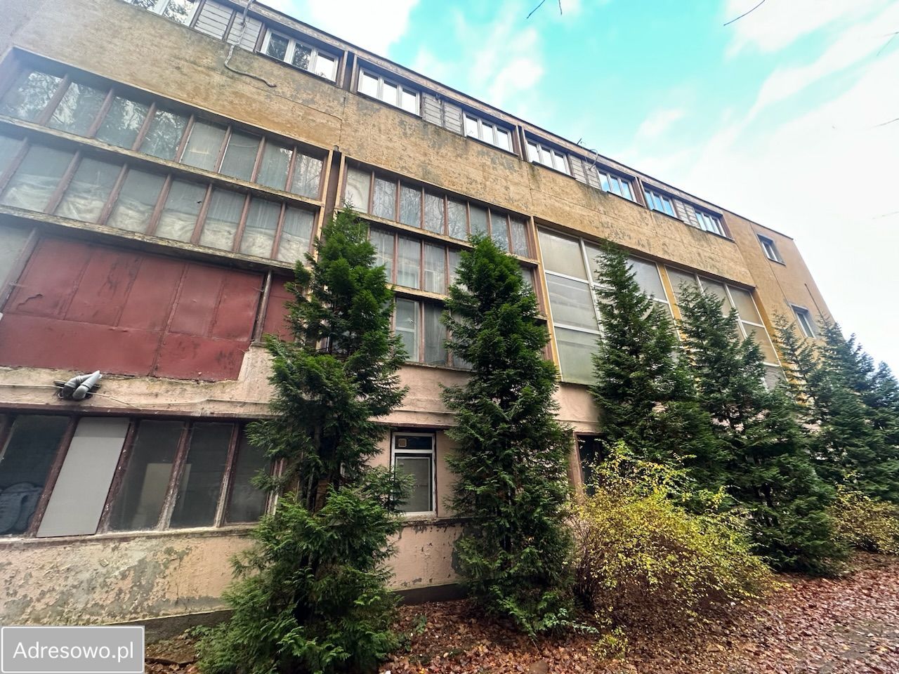 Lokal Sopot Brodwino, ul. Władysława Cieszyńskiego. Zdjęcie 2