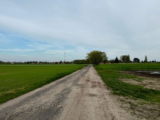 Działka rolna Kolsko, Kolsko. Zdjęcie 1