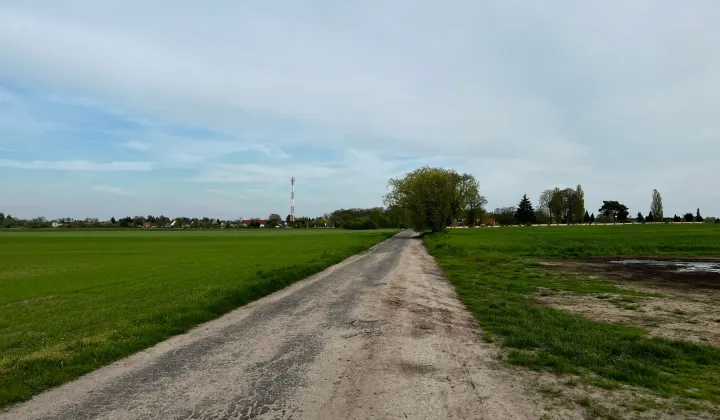 Działka rolna Kolsko, Kolsko