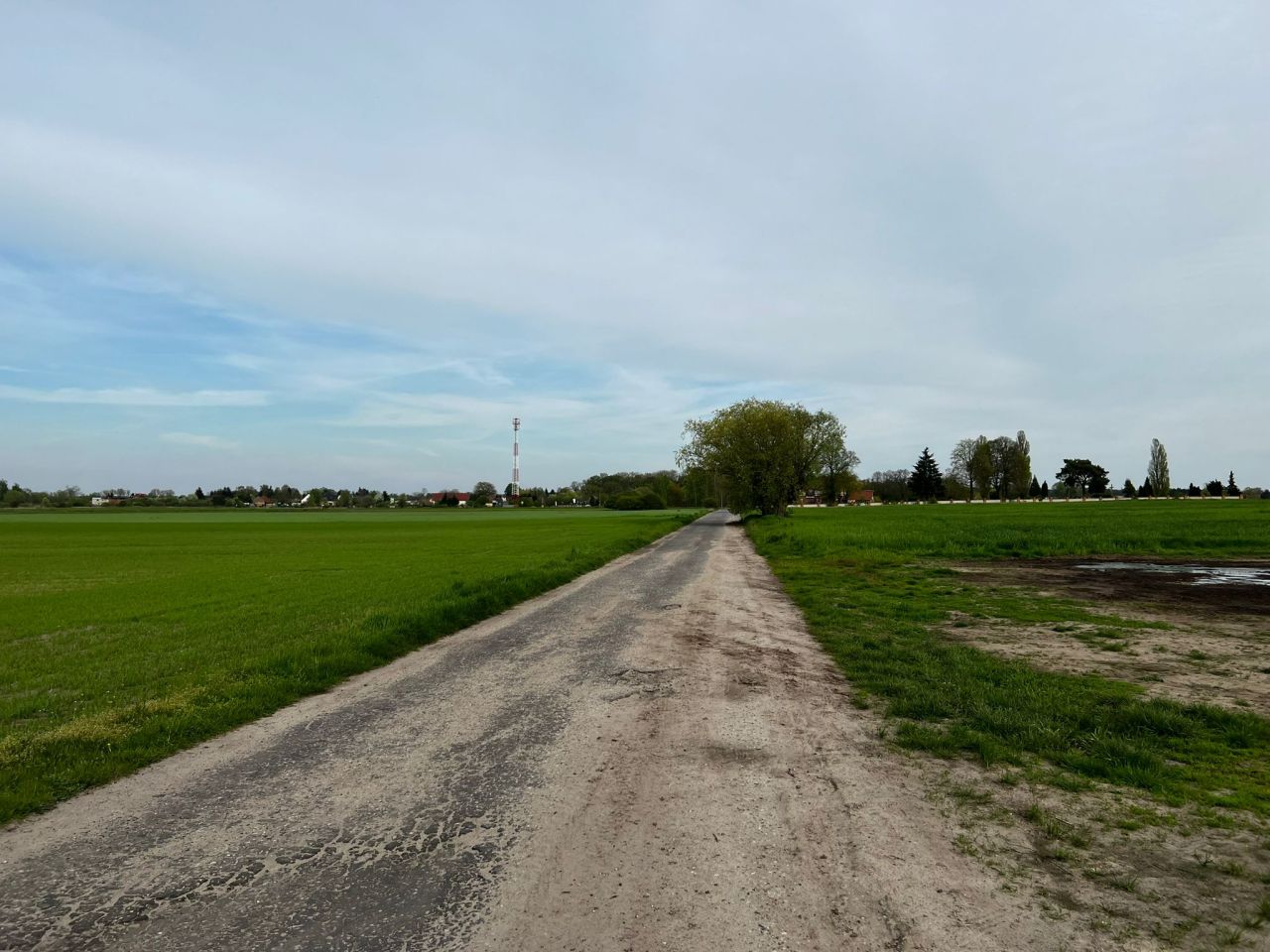 Działka rolna Kolsko, Kolsko. Zdjęcie 1