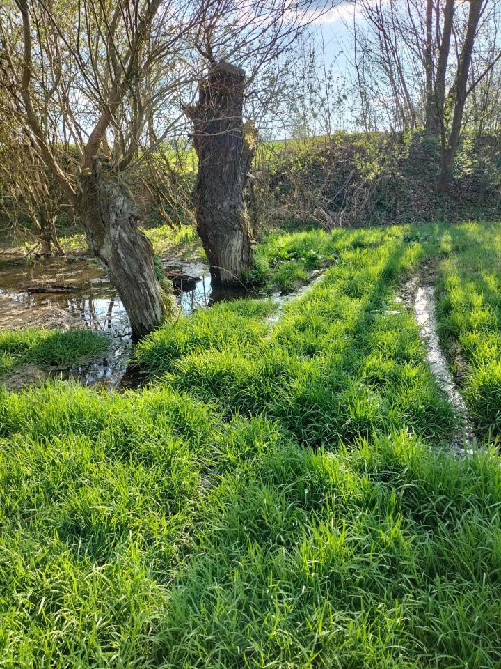 Działka rolna Kościejów, droga po działce 682. Zdjęcie 7