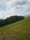 Działka rolno-budowlana Sulnowo. Zdjęcie 1
